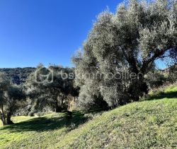 For sale: 4-room house, 135 m², sea view, Vence