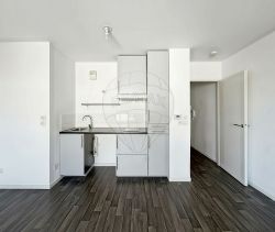 Se alquila apartamento de 1 dormitorio, 45 m², Carquefou