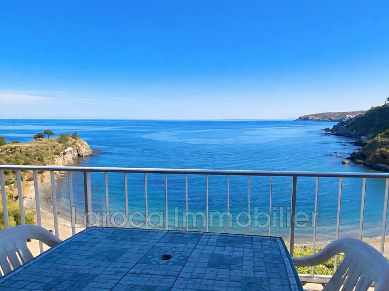 A louer APPARTEMENT T3 44 M2 TERRASSE PIEDS DANS L'EAU BANYULS SUR MER