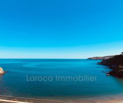 A louer APPARTEMENT T3 44 M2 TERRASSE PIEDS DANS L'EAU BANYULS SUR MER