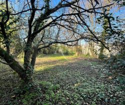 A vendre MAISON  4 PIECES 78 M2  LE BERNARD