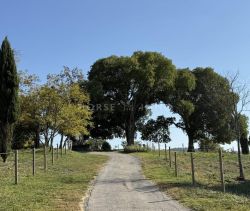 A louer APPARTEMENT DE PRESTIGE  597 M2 TERRASSE  SOMMIERES