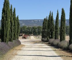 For rent: 5-room apartment, 90 m², terrace, Mallemort