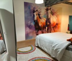 A louer GîTE  LA ROCHE SUR YON