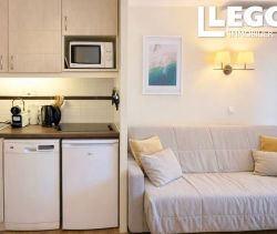 For rent: 1-bedroom apartment, 27 m², terrace, seaside, Cannes