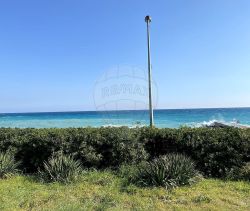 For rent: 1-bedroom apartment, 37 m², beachfront, Villeneuve-Loubet