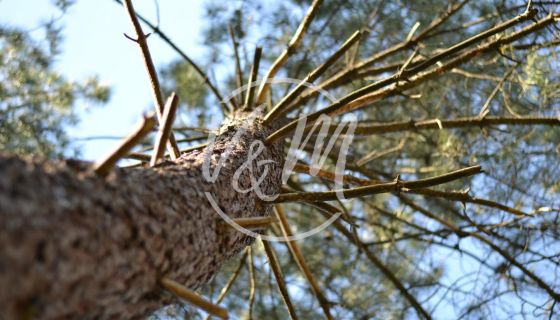 A vendre belle propriete 7 pieces 213 m&sup2; ARES