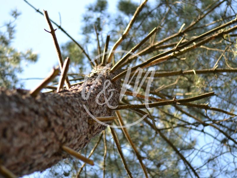 A vendre belle propriete 7 pieces 213 m&sup2; ARES