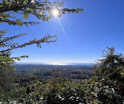 A louer MAISON  14 PIECES 514 M2 VUE MER VENCE