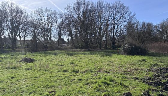 A vendre magnifique terrain constructible  2200 m&sup2; Lanton