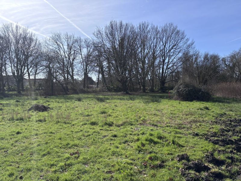 A vendre magnifique terrain constructible  2200 m&sup2; Lanton