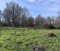 A vendre magnifique terrain constructible  2200 m&sup2; Lanton