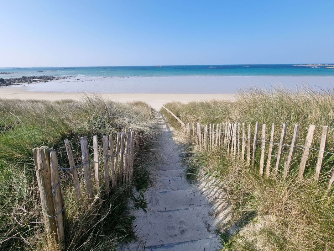 dfd595b39c10b772c338e720e7933786