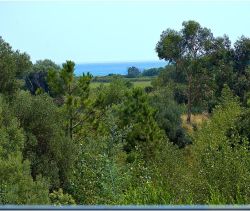 A louer MAISON  7 PIECES 250 M2 PLAGE à PIED SOLARO