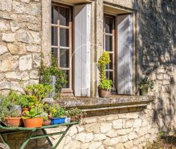 For rent: Manor house in Saint Remy de Provence