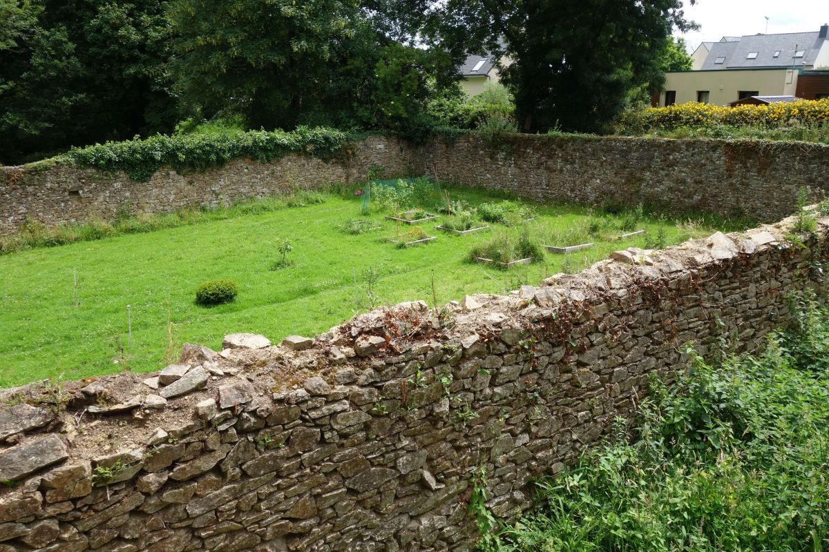 2723d092b63885e0d7c260cc007e8b9d