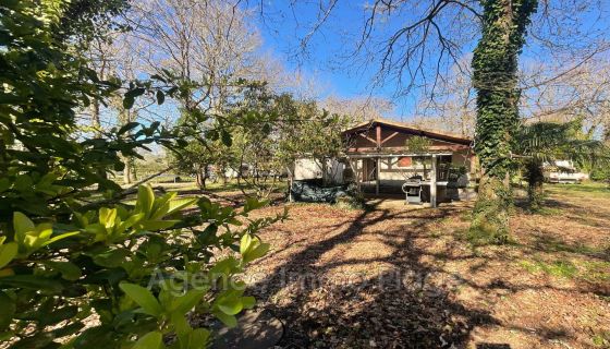 A vendre MAISON  3 PIECES 80 M2  SAINT VIVIEN DE MEDOC campagne