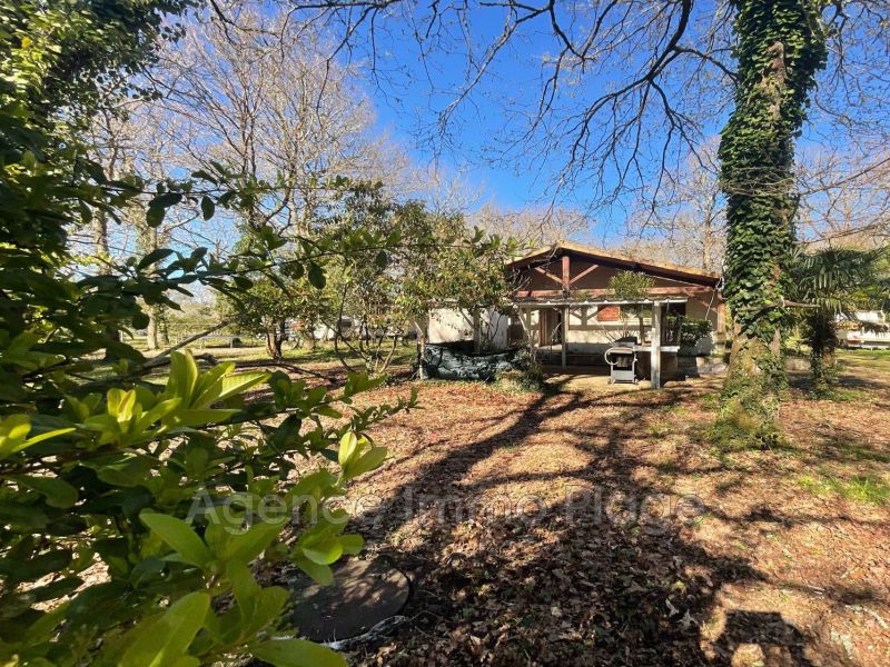 A vendre MAISON  3 PIECES 80 M2  SAINT VIVIEN DE MEDOC campagne