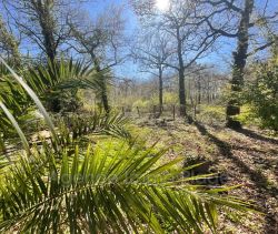 A vendre MAISON  3 PIECES 80 M2  SAINT VIVIEN DE MEDOC campagne