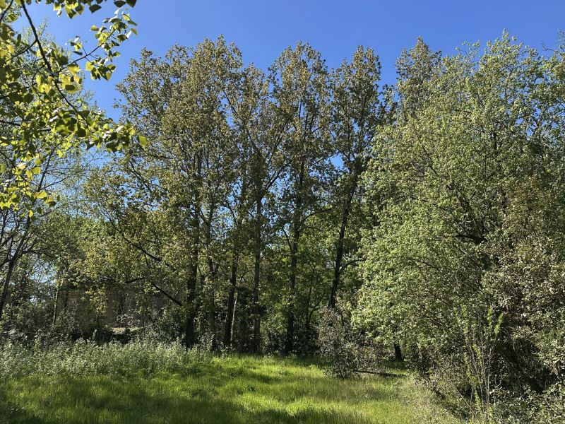 A vendre Au coeur d'une nature pr&Atilde;&copy;serv&Atilde;&copy;e 85270 Saint-Hilaire-de-Riez