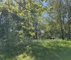A vendre Au coeur d'une nature pr&Atilde;&copy;serv&Atilde;&copy;e 85270 Saint-Hilaire-de-Riez
