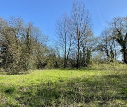A vendre Au coeur d'une nature pr&Atilde;&copy;serv&Atilde;&copy;e 85270 Saint-Hilaire-de-Riez