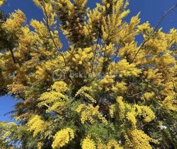 Luxury duplex apartment for rent, 6 rooms, 154 m², terrace, Salon-de-Provence