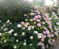 Se vende: casa de 5 habitaciones, 115 m², junto al mar, Dieppe, a 5 minutos del mar y Neuville-sur-Dieppe, y a 10 minutos de Dieppe.