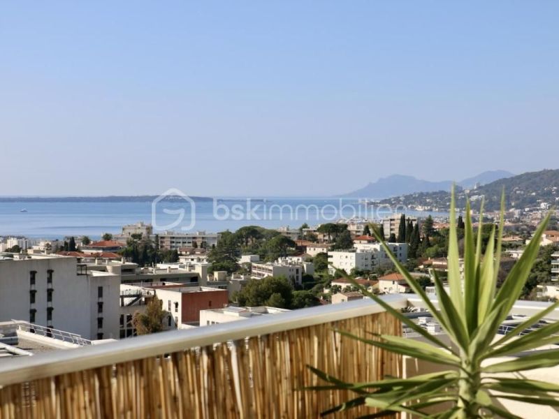 For rent: 2-bedroom apartment, 72 m², terrace, sea view, Antibes