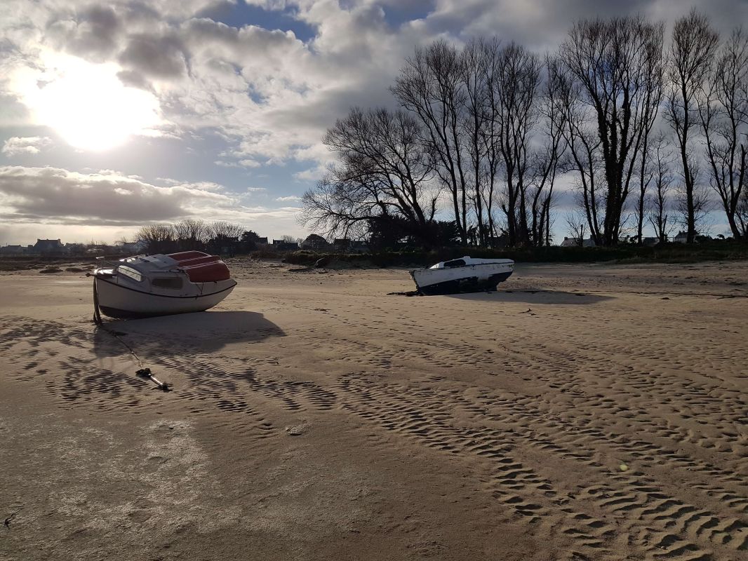 d848966499d779346a997b803a4c590d