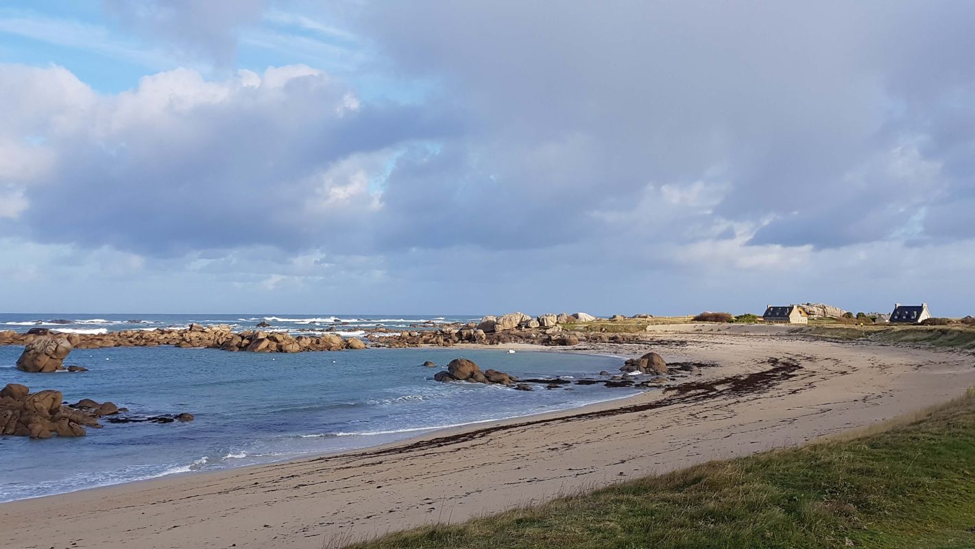 431eb46eeaa888e07d023d649541adca