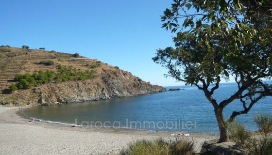 A louer APPARTEMENT DUPLEX  37 M2 TERRASSE PIEDS DANS L'EAU CERBERE