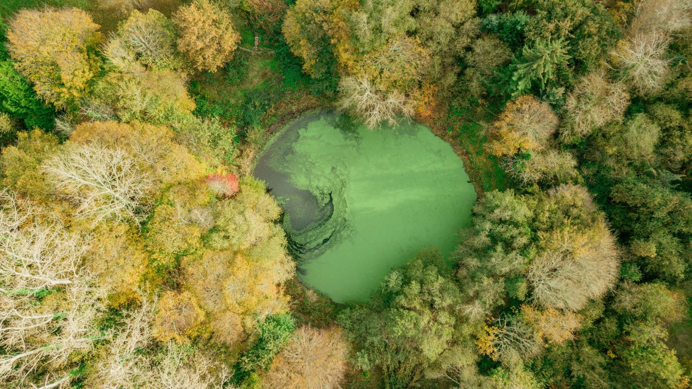 c3c0094bc7d5aaee3a26b66eb9e974e6