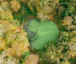 A vendre PROPRIETE de charme en pierreS plage A&nbsp; pied TREGASTEL