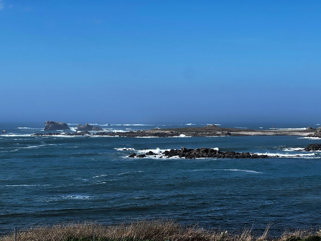 e1317de790bbee58c134685039012cc1