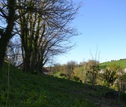 A vendre TERRAIN 860 M2 BORD DE MER VEULETTES SUR MER
