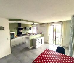 A louer APPARTEMENT T2 54 M2 TERRASSE BORD DE MER LATTES