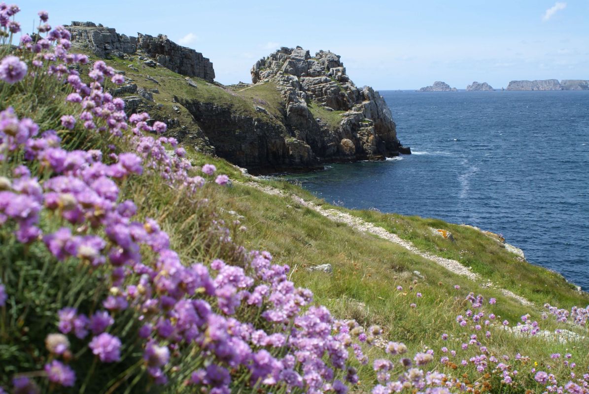 10644fa477e3ab840c95e9ba658f7919