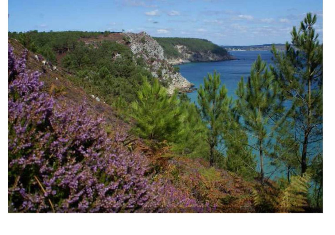 33221f1ba490ca1cbd7124961def4d91