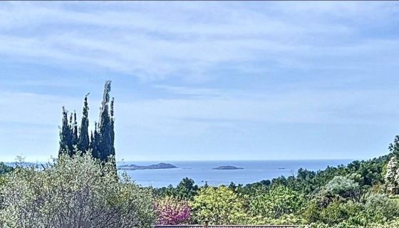 A vendre MAGNIFIQUE TERRAIN VUE MER PANORAMIQUE Bandol