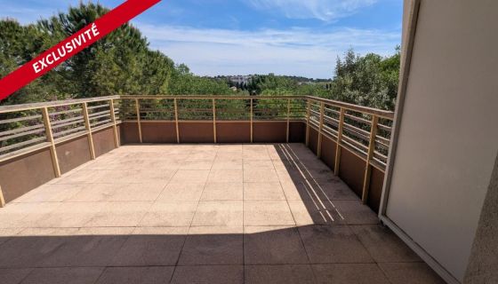 A louer APPARTEMENT T2 48 M2 TERRASSE  MONTPELLIER