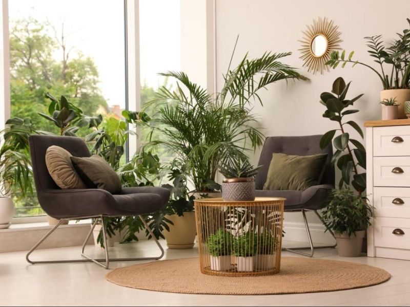 A louer APPARTEMENT T2 46 M2  BEZIERS
