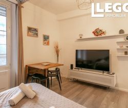 A louer APPARTEMENT DE PRESTIGE T2 38 M2 BORD DE MER NICE