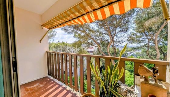 A louer APPARTEMENT T4 72 M2 BORD DE MER CANNES