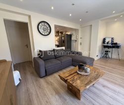A louer APPARTEMENT T2 55 M2 TERRASSE BORD DE MER CANNES