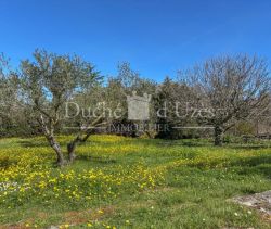 A louer MAISON  8 PIECES 145 M2  UZES