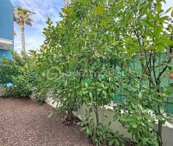 A louer APPARTEMENT T2 42 M2 TERRASSE  CASTELNAU LE LEZ