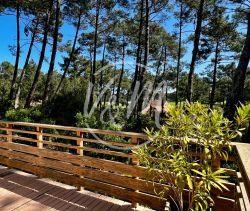 A vendre CHALET NATURISTE 5 PIECES 76 M&sup2; Le porge