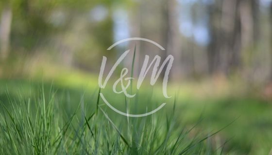 A vendre TERRAIN CONSTRUCTIBLE 410 M&sup2; COTE BASSIN ARES