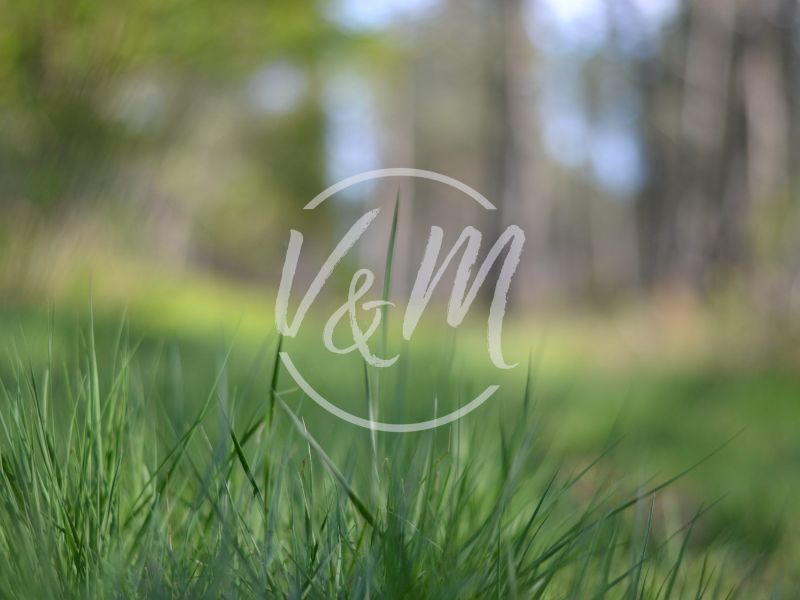 A vendre TERRAIN CONSTRUCTIBLE 410 M&sup2; COTE BASSIN ARES